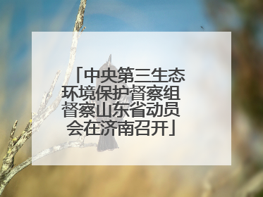 中央第三生态环境保护督察组督察山东省动员会在济南召开